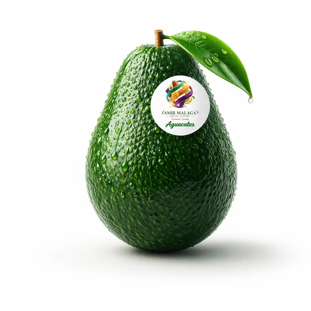 chatgpt image 22 mars 2026, 17 12 05