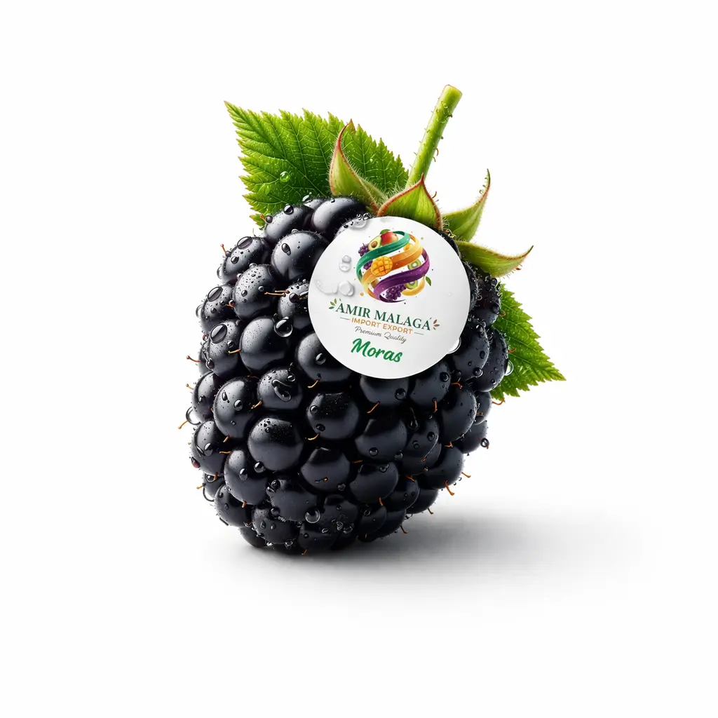 chatgpt image 22 mars 2026, 17 23 17