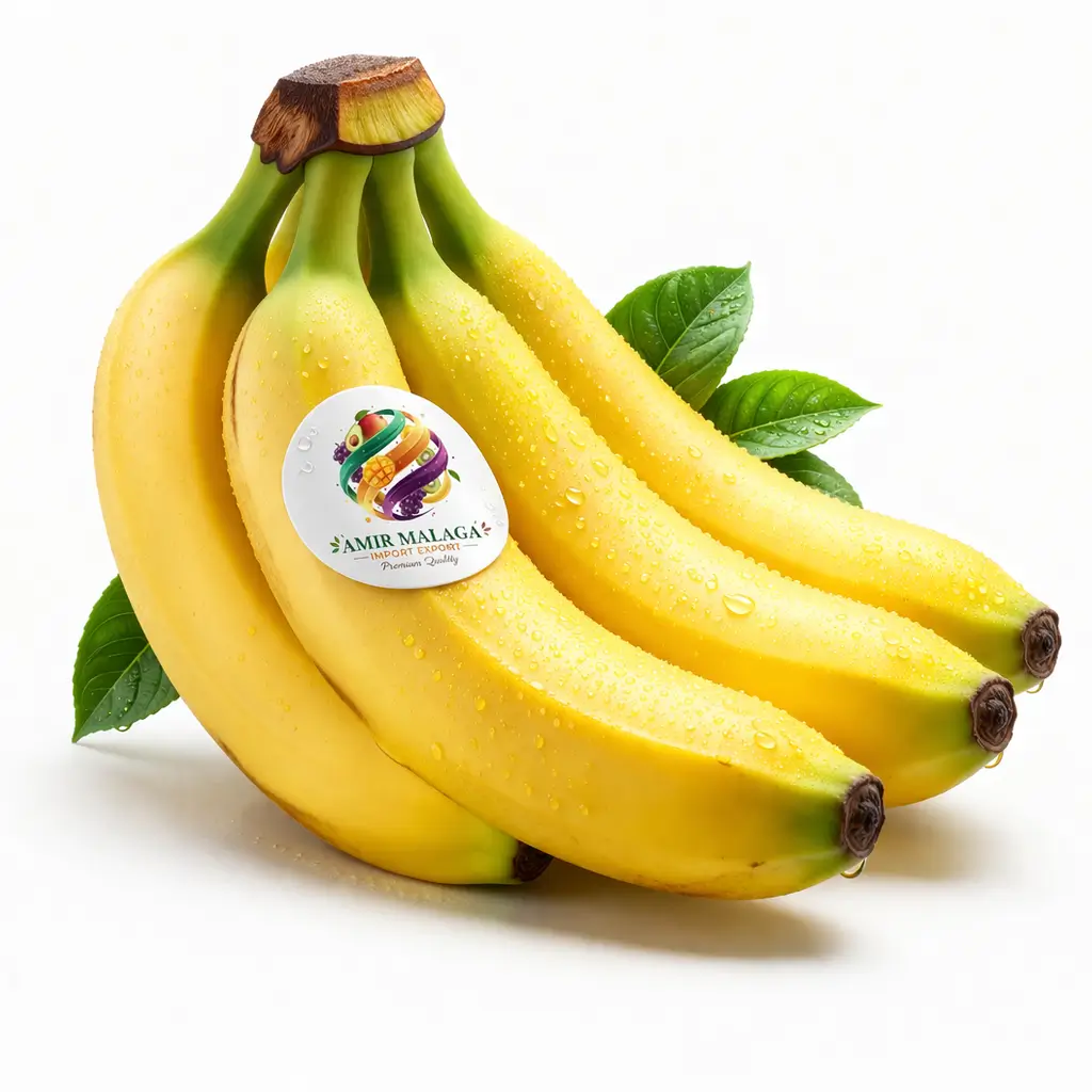 chatgpt image 22 mars 2026, 17 30 21 (1)