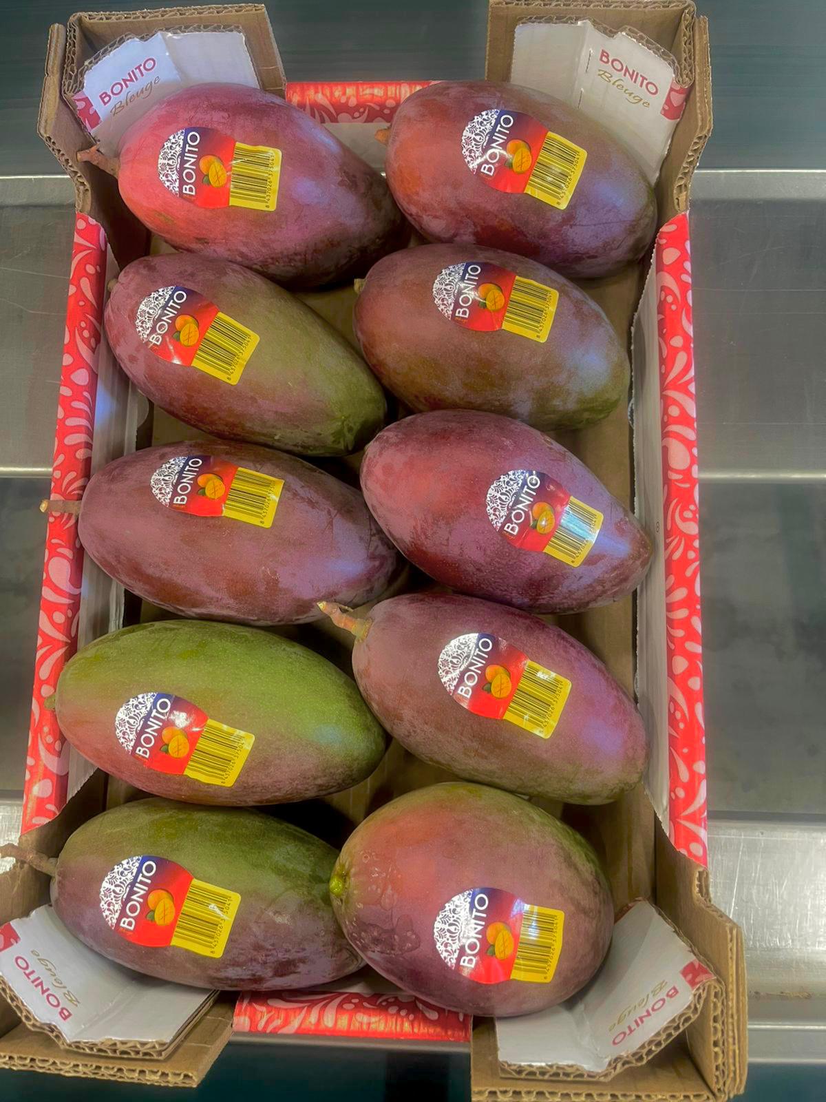 whatsapp image 2026 03 16 at 23.36.16