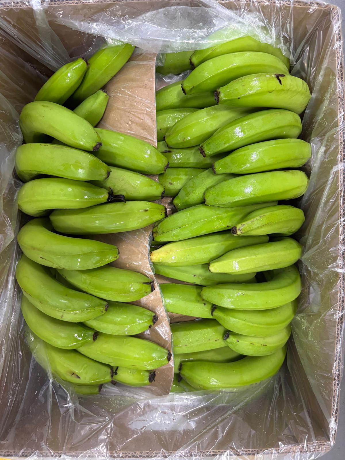 whatsapp image 2026 03 16 at 23.36.19