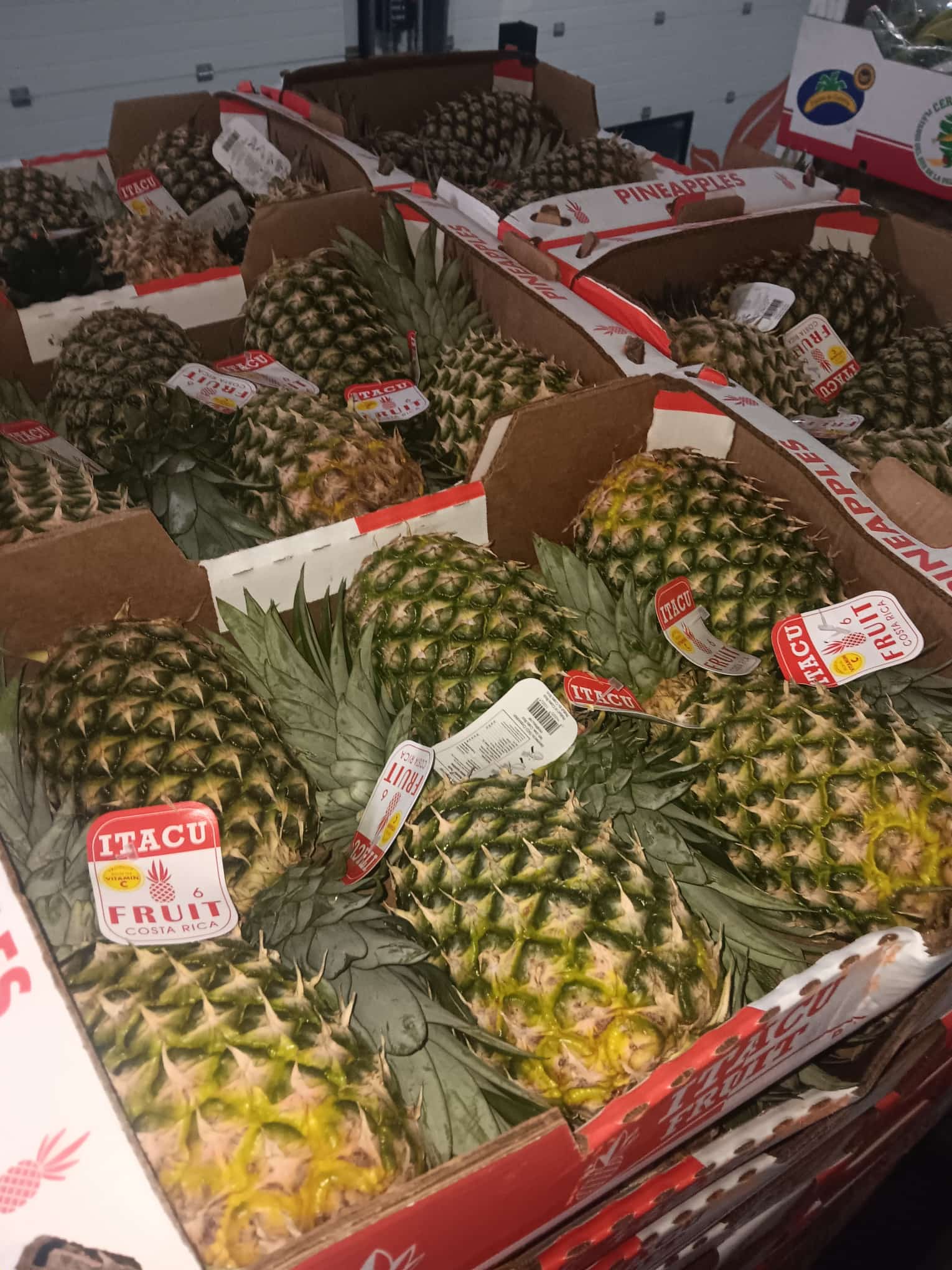 whatsapp image 2026 03 16 at 23.36.26