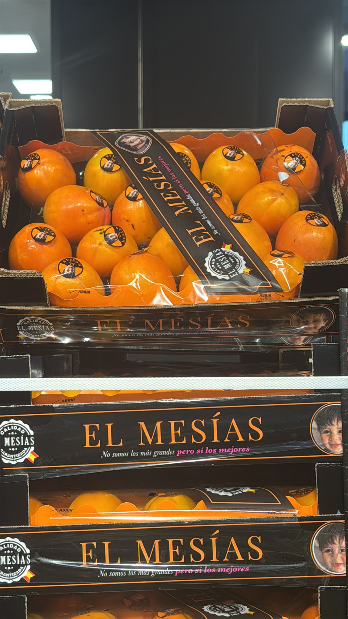 whatsapp image 2026 03 16 at 23.36.32